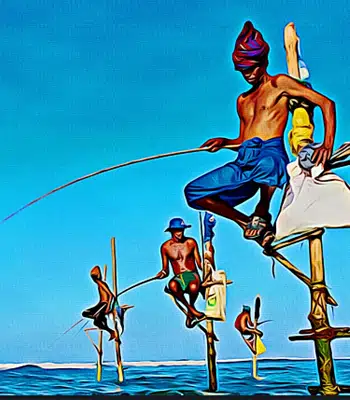 srilanka tour package from kerala